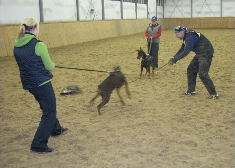 Training in Finland 12/2007